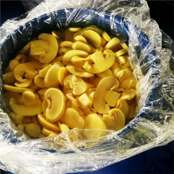 Goba Agaricus v konzervi