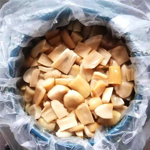 Stropharia v slanici