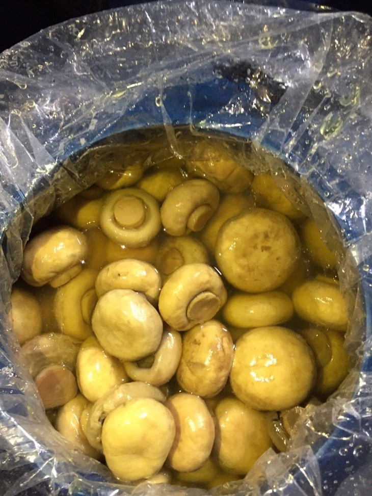 Chinese Preserved Champignon in Barrel